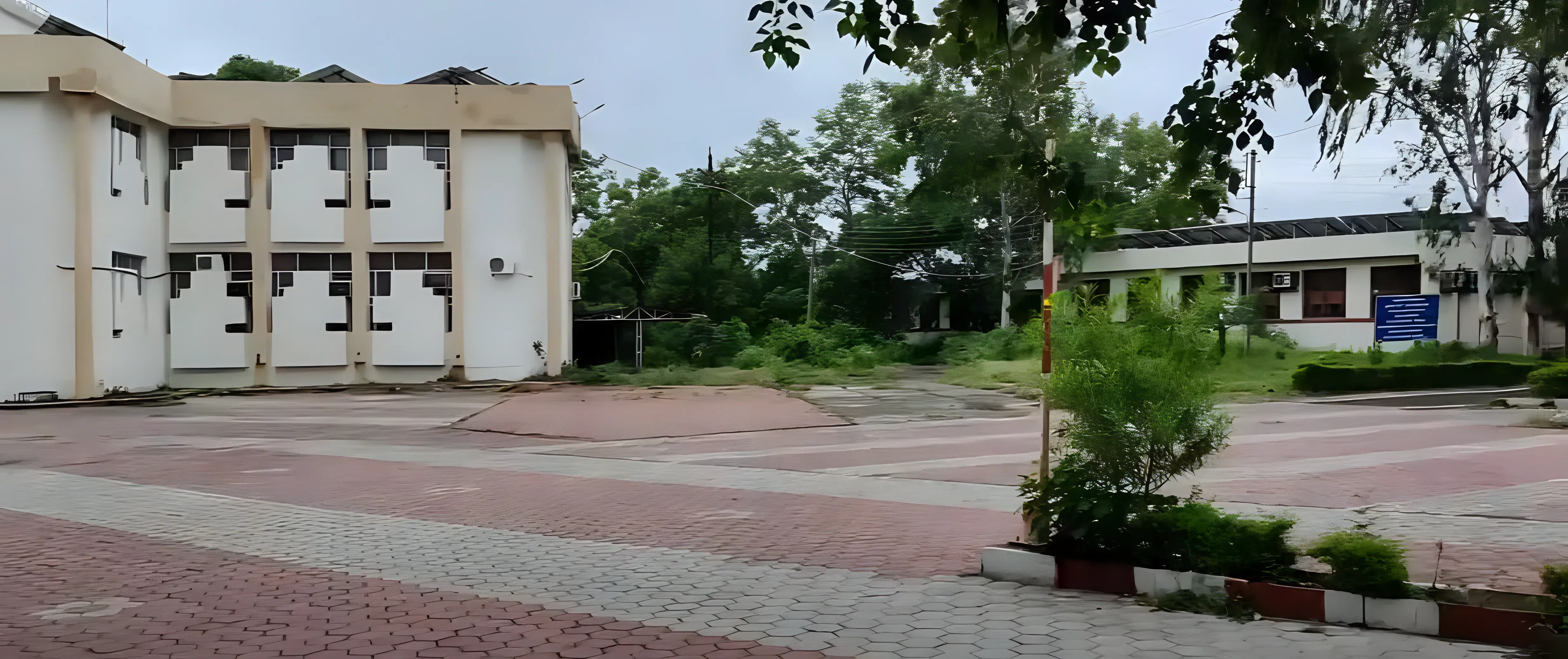 Barkatullah University Institute of Technology Bhopal Campus photo 6